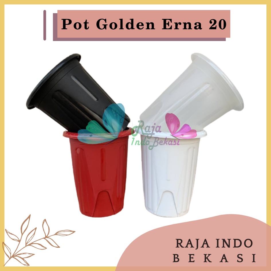 Rajaindobekasi Pot GE 20 Golden Erna 20 Putih Hitam Transparan Bening Merah Bata pcs Pot Yogap 10 13 15 17 18 19 25 Pot Yogap Bening LUSINAN POT YOGAP MURAH