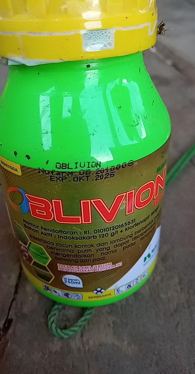 Insektisida Oblivion