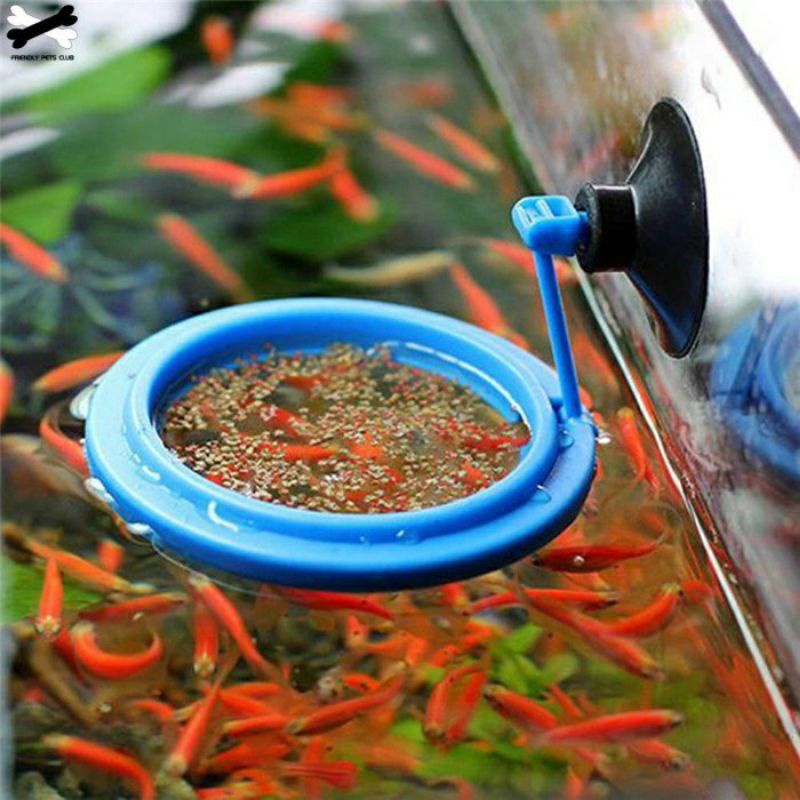 FEEDING FLOATING RING Alat Tempat Makan Pakan Ikan Mengapung aquarium