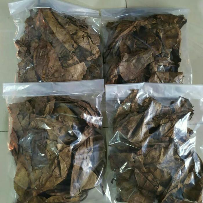 

Daun Ketapang Laut Kering Siap Pakai - 50 Gram