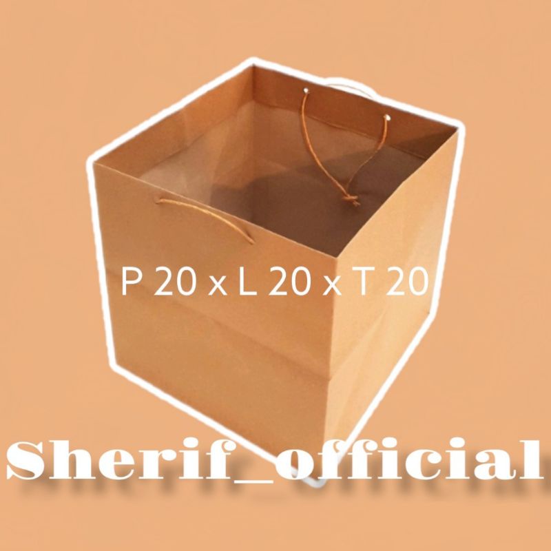 Jual Paper Bag Polos X Paperbag Dus Nasi P L T Paper Bag