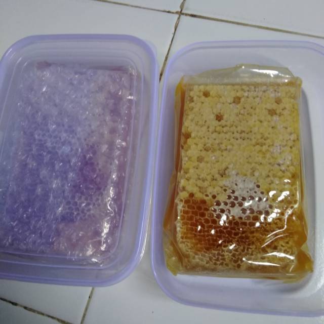 

Madu sarang multiflora