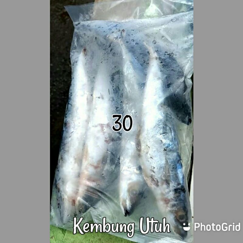 

Kembung Utuh 1kg