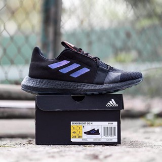 zoom pegasus 36 shield