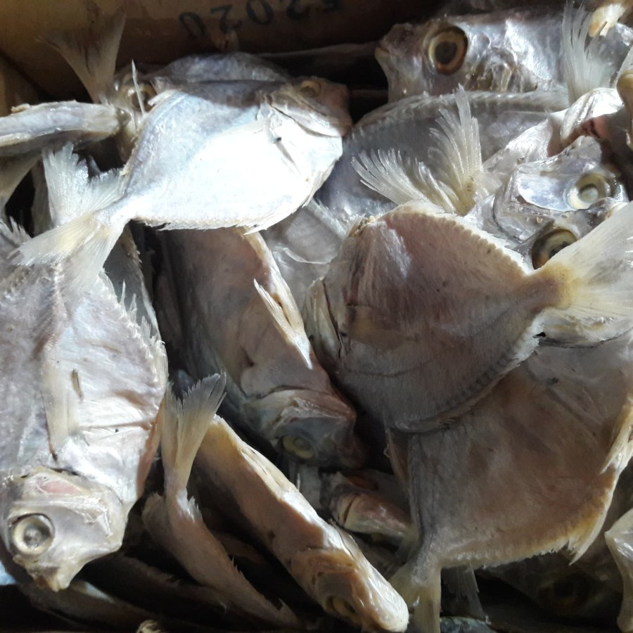 

IKAN ASIN PETEK 500 gr