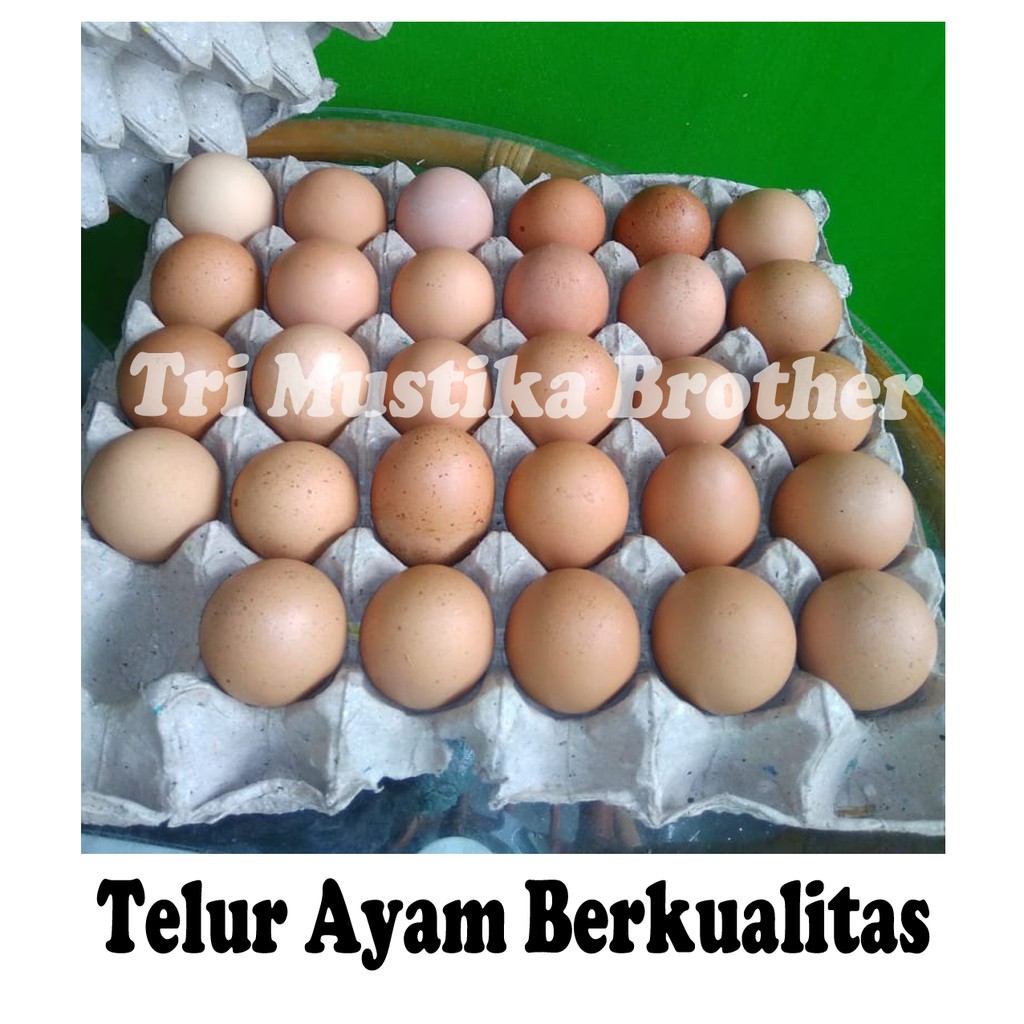 

1 Kg - Telur Ayam Negeri - (Asembaris, Tebet)