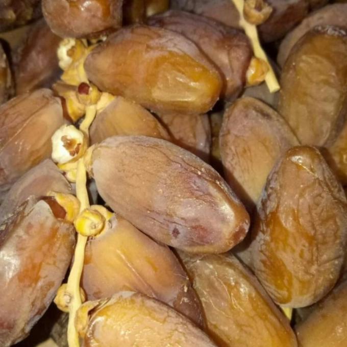 

TERLARIS kurma tunisia tangkai 500 gr/KURMA 1KG/KURMA BARARI/KURMA RUTHOB/KURMA BAM/KURMA PALM FRUIT/KURMA TANGKAI/KURMA AZWA/KURMA SUKKARI/KURMA SAFAWI/KURMA TUNISIA/KURMA MUDA KUNING/KURMA MUDA HIJAU/KURMA MEDJOL/KURMA MADINAH SUPER