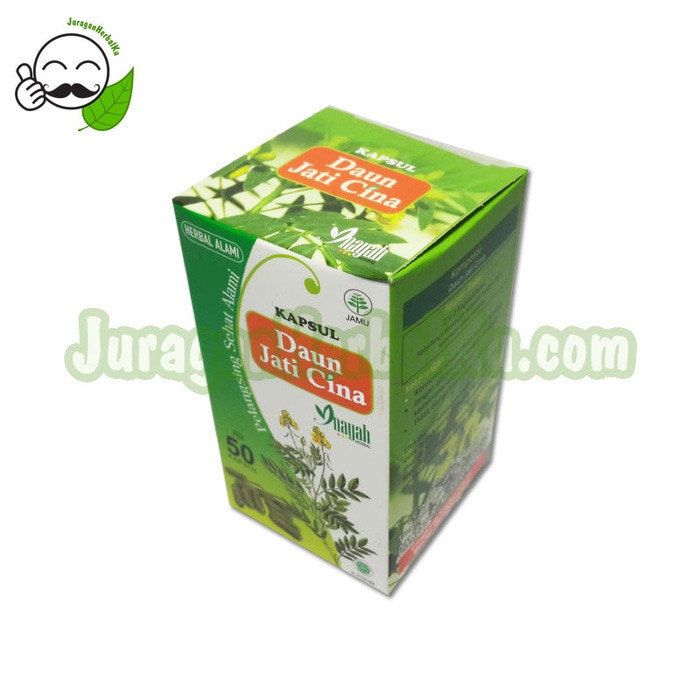 

Jual Daun Jati Cina, Pelangsing Sehat Alami Murah