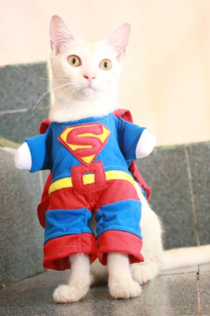 Kostum superman untuk kucing lucu banget / baju kucing size S M L XL