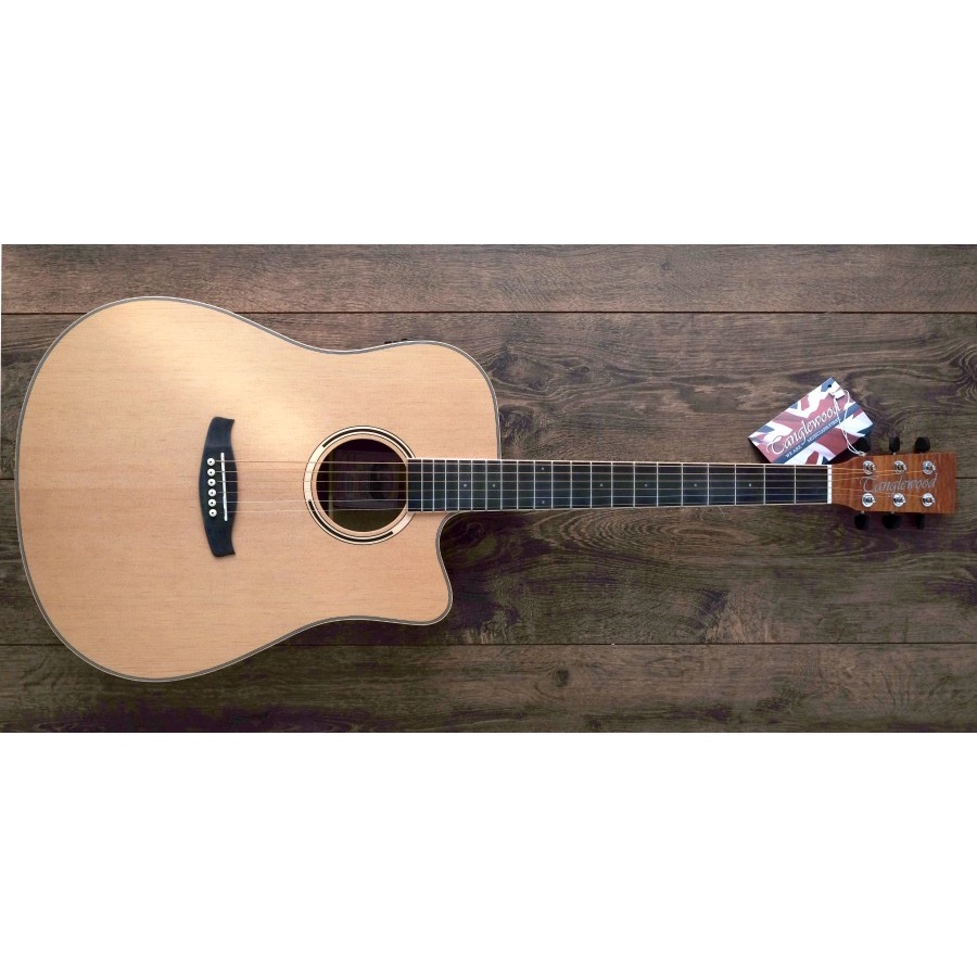 Gitar Akustik Elektrik Tanglewood Discovery DBT DCE FMH