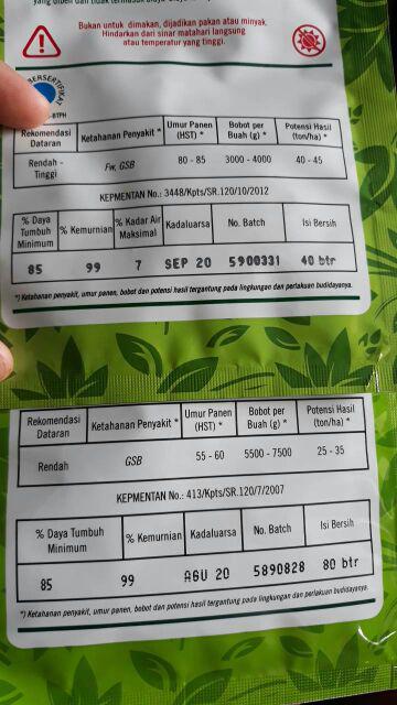 Benih Semangka Baginda 80 Butir