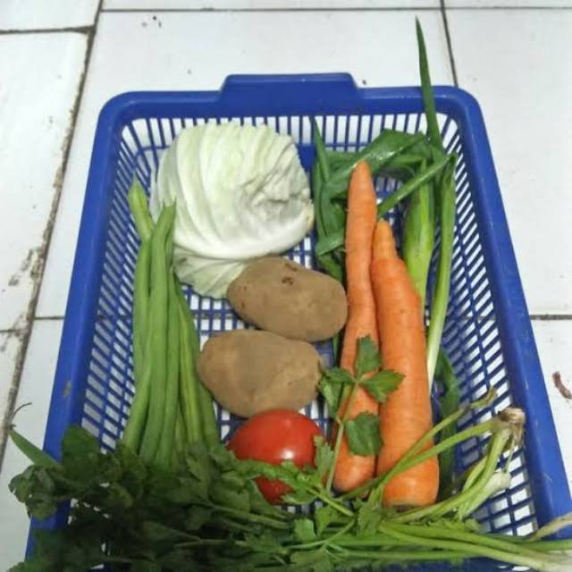 Bahan Sayur Sop Shopee Indonesia