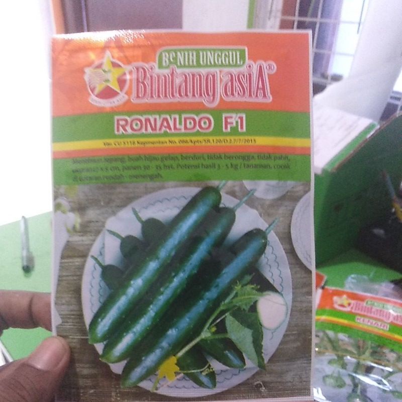 

Benih Mentimun jepang Bintang asia Ronaldo kemasan 20gr