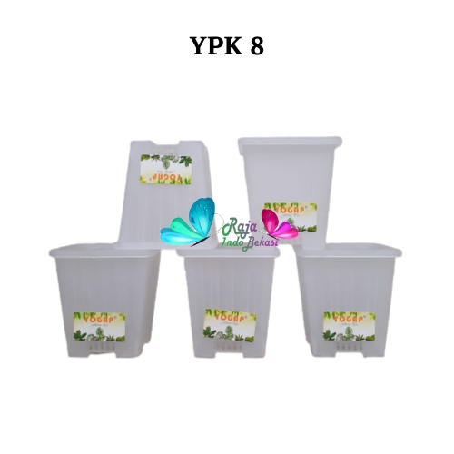 Pot Yogap Kotak 8 Transparan