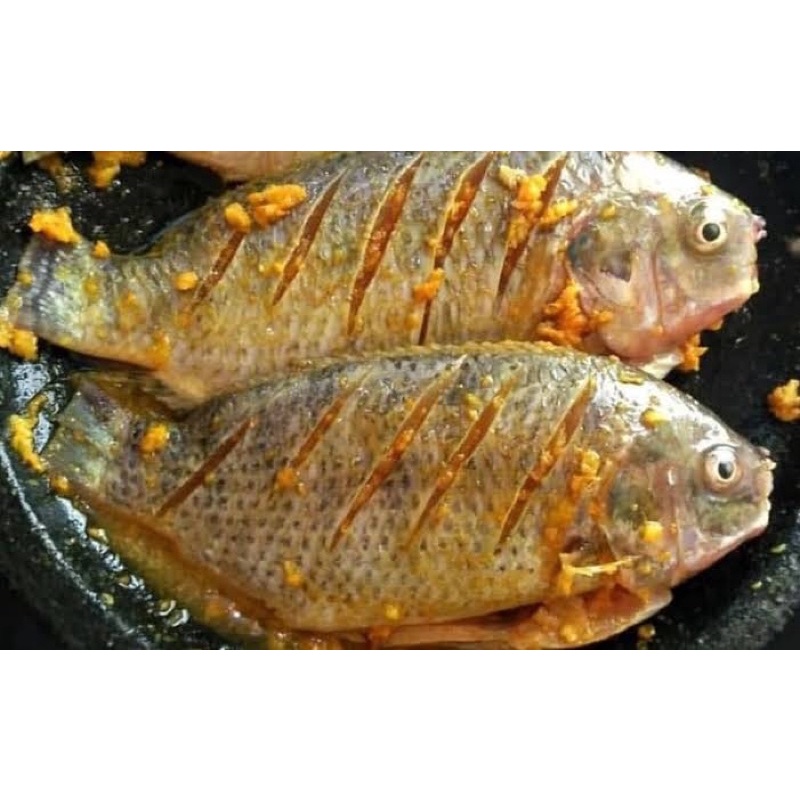 

ikan mas ungkep 1KG bumbu kuning, ikan lele 1Kg bumbu kuning, ikan mas, ayam ungkep, ikan bumbu kuning