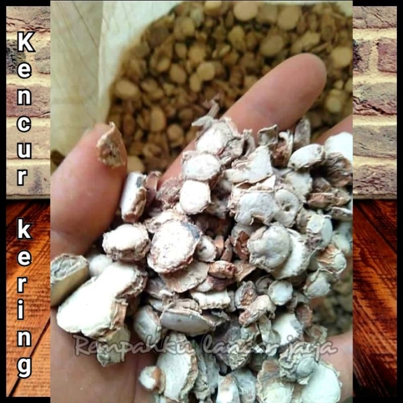 KENCUR KERING 100 GRAM