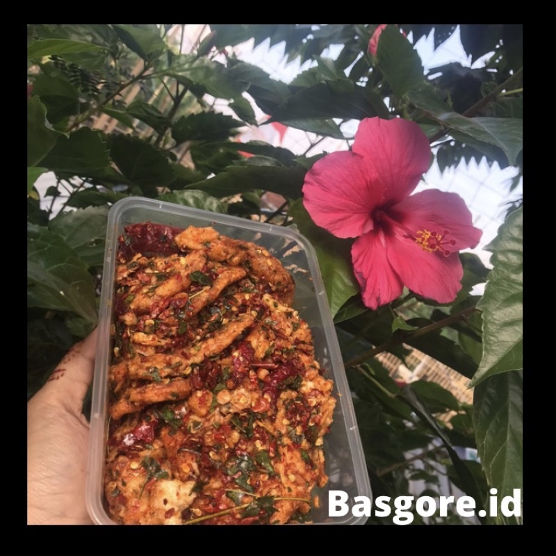 

Tempe crispy Basgore.id