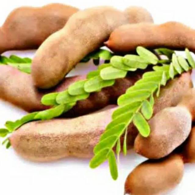 

Asam muda segar 1 kg