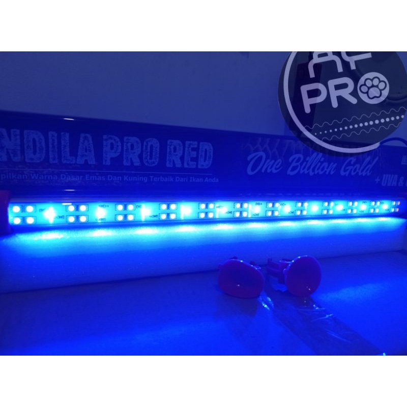 LAMPU LED TANNING AQUARIUM KANDILA PRO RED ONE BILLION GOLD  600 800 1000