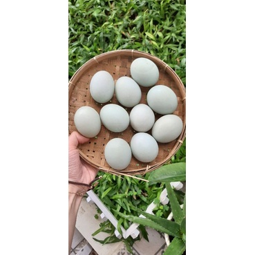 

Telur Asin
