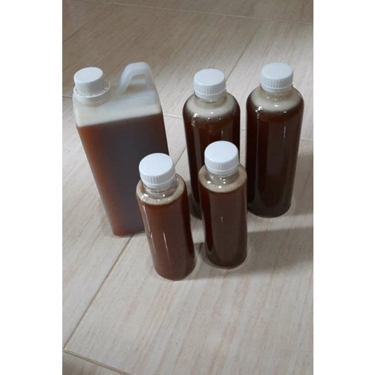 

Madu Klanceng, Madu Klanceng Asli, Penjual Madu Asli, kelulud