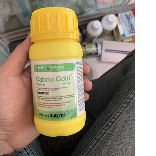 

☄️ Cabrio Gold 183 SE - 250 ml |Stock terbaru!!!|Termurah|Diskon Besar!!!!!