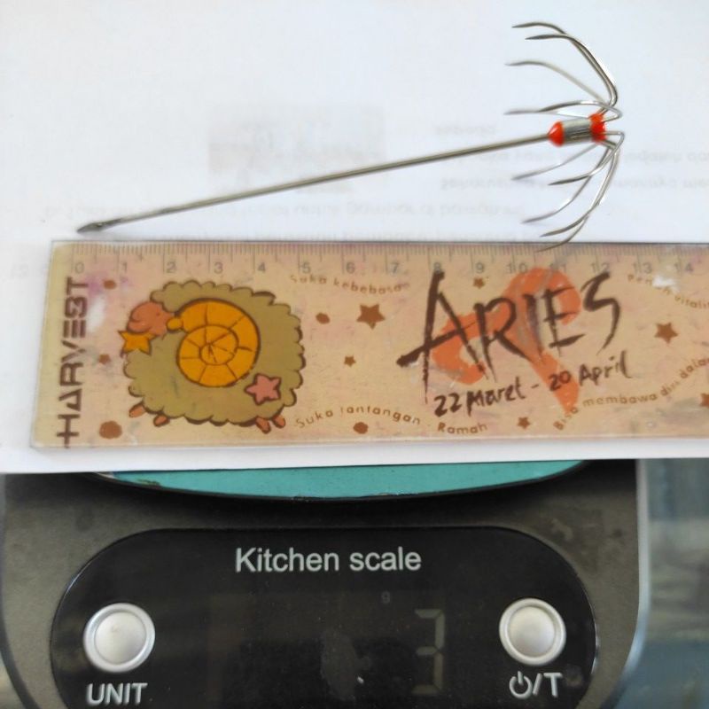 Kail garong/Ranjau cumi