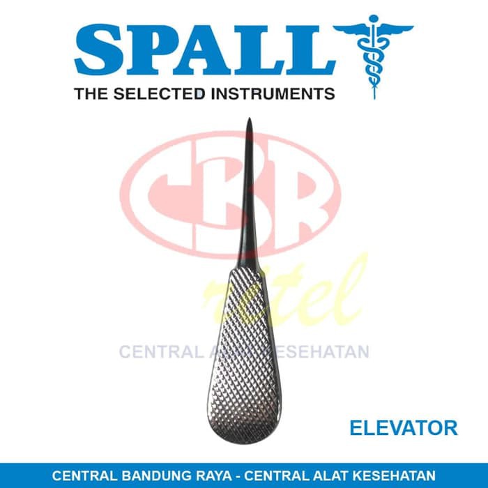 SPALL Elevator - Dental Instrument