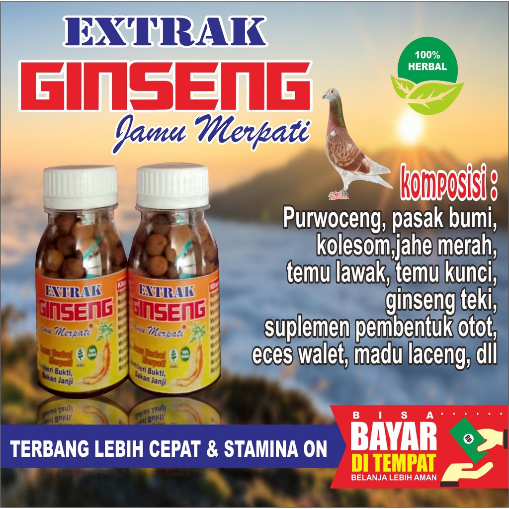 JAMU MERPATI EXTRAK GINSENG ISI 120 BUTIR PIL EDAN VETAFRAM GINSENGTEKI