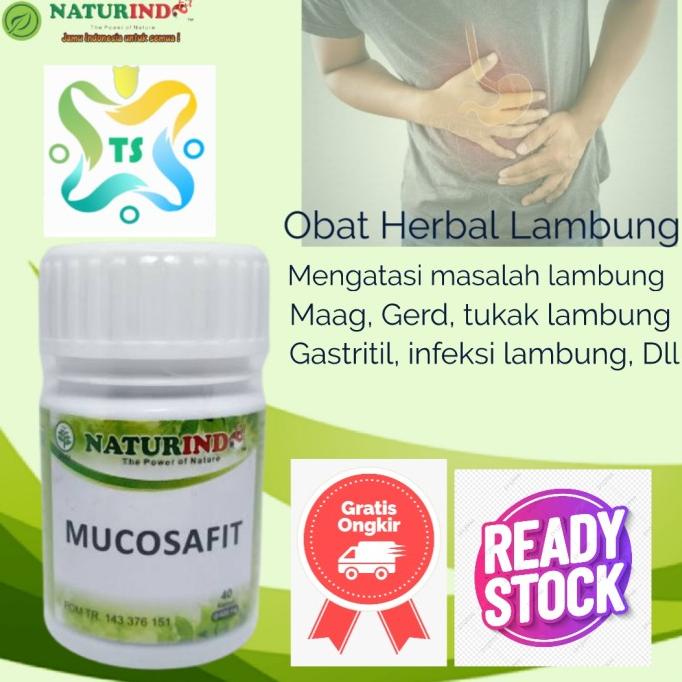 

TERBARU Mucosafit - Obat Herbal Spesial Atasi Lambung & Pencernaan /OBAT HERBAL ASAM URAT/OBAT HERBAL PELANGSING/OBAT HERBAL KOLESTEROL/OBAT HERBAL DIABETES