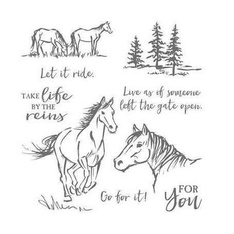 Clear Stamp (Stempel Transparan/Bening) - Let it Ride