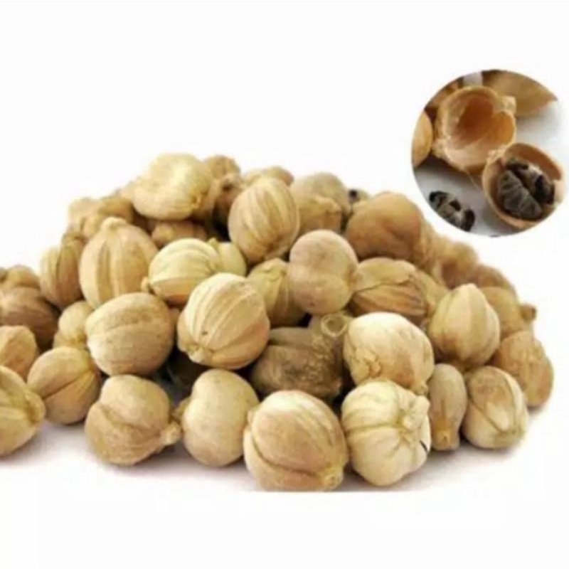 

Kapolaga Kapulaga Kapol Kering Curah 100 gram