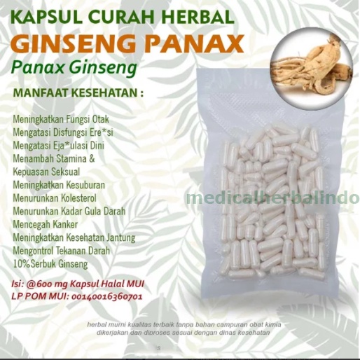 Kapsul Curah GINSENG Panax Jamu Kuat Pria Herbal Libido 100 capsul
