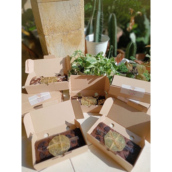 

Fudgy Brownies mini