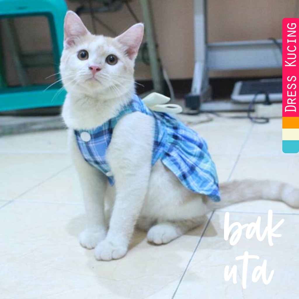 Dress kotak-kotak biru natural untuk kucing dan anjing / baju kucing murah terlaris size S M L XL