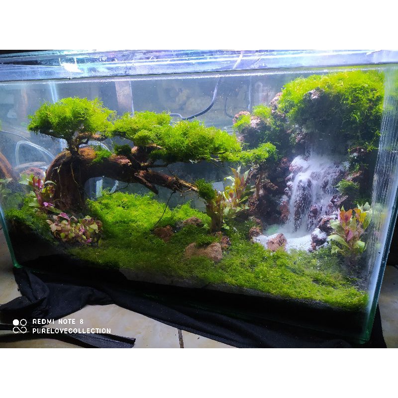 Aquarium Aquascape fullset Ukuran 60cm Murah/Paket Lengkap Akuarium Aquascape