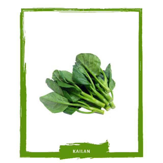 

Sayur Kailan / Sayur Sayuran Segar By Mallahrizwa