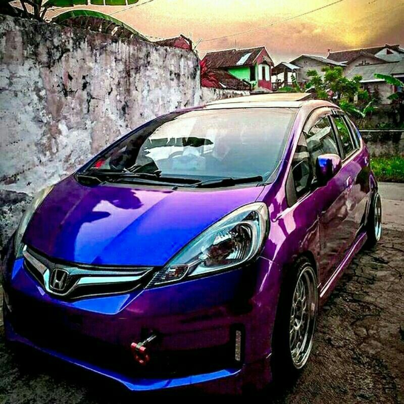 

cat bunglon crome blue violet purple