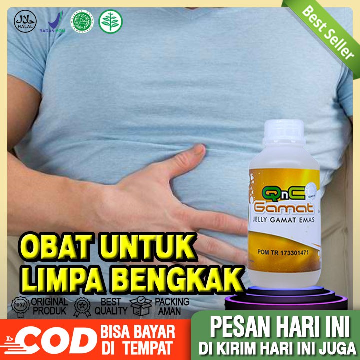 Obat Limpa Bengkak, Pembengkakan Limpa, Obat Limpa, Obat Herbal Limpa Bengkak, Obat Pembesaran Limpa