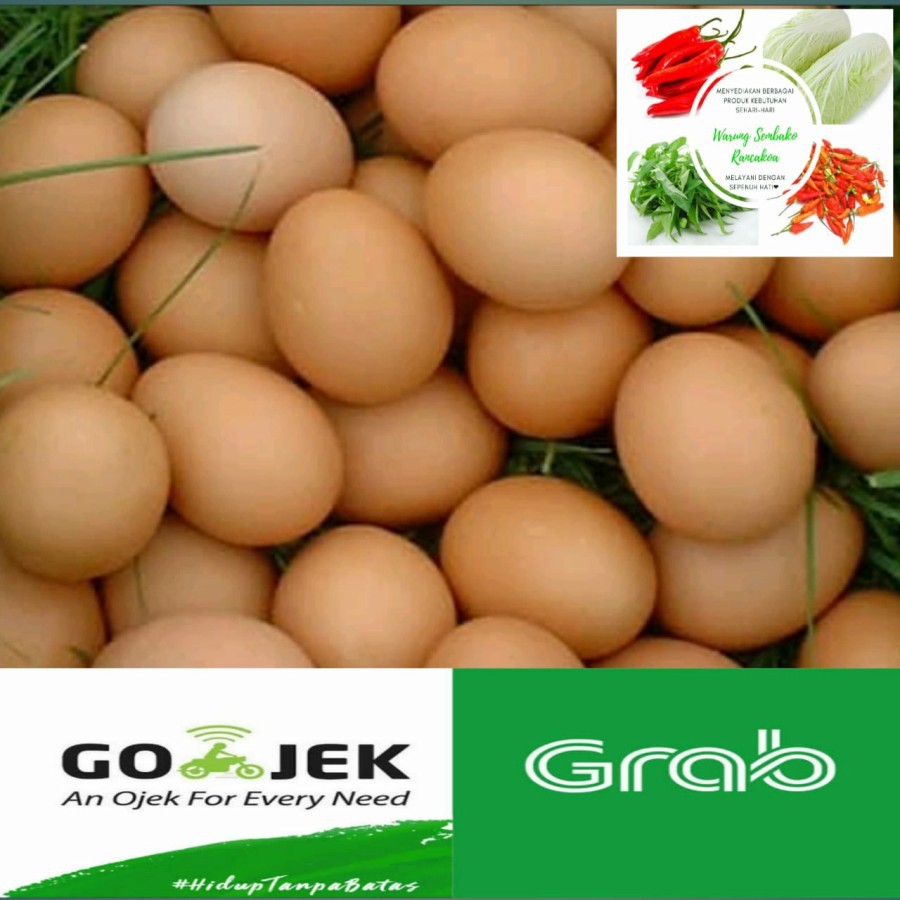 

Telor Ayam Negeri Lokal Curah 500 Gram fresh