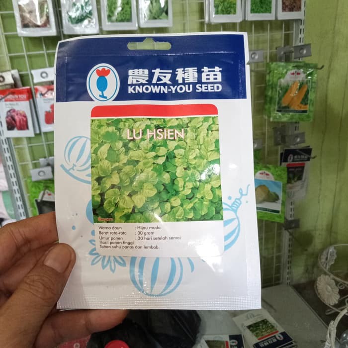 

Jual Benih Bayam Hijau LU HSIEN Know You Seed Berkualitas