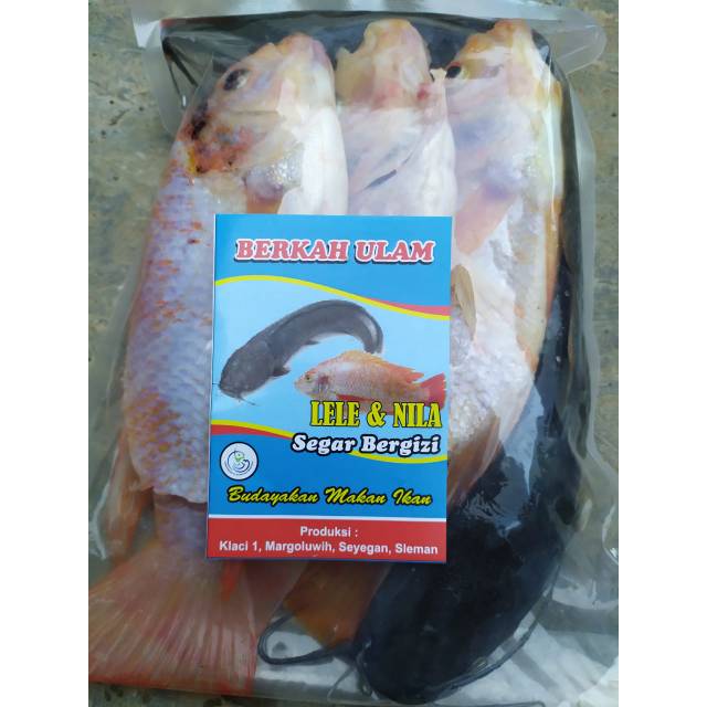

Nila + Lele (Ikan Air Tawar)