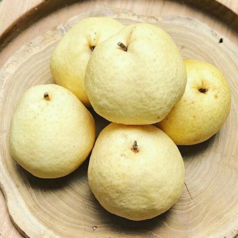 

pir madu 1kg