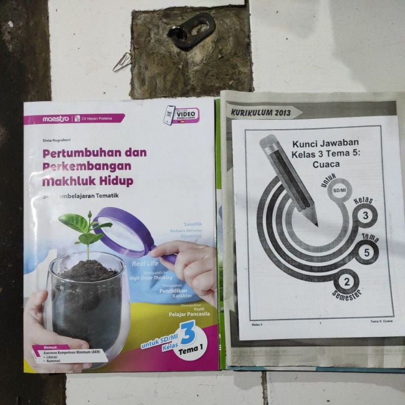 Harga Lks Kelas 3 Terbaru Juli 2021 Biggo Indonesia