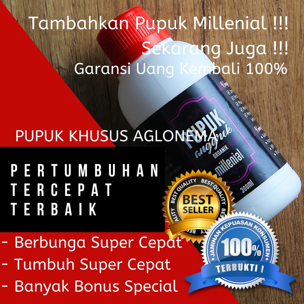 Pupuk Aglonema Penumbuh Tunas, Pupuk Aglonema Terbaik, Pupuk Aglonema Dekastar, Pupuk Aglonema