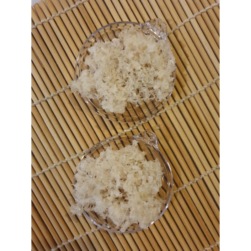 Sarang Burung Walet Rontokan Hancuran