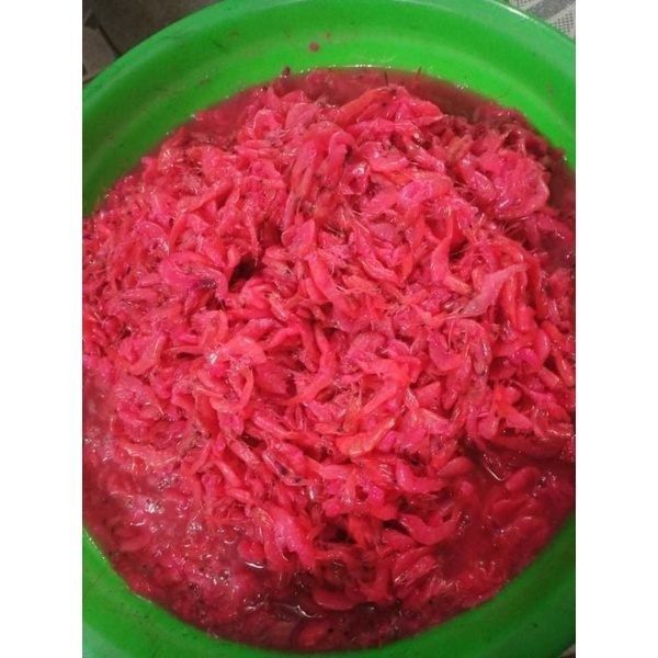 

HAKUNG KOI 1kg , THAI HAKOI , CINCALOK UDANG PEMANGKAT