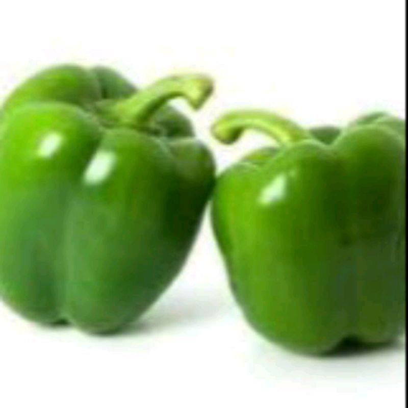 

PAPRIKA HIJAU 1BUAH