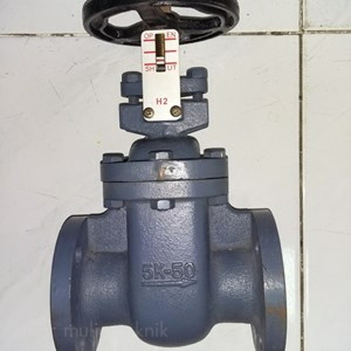 3 inch gate valve cast iron 5k