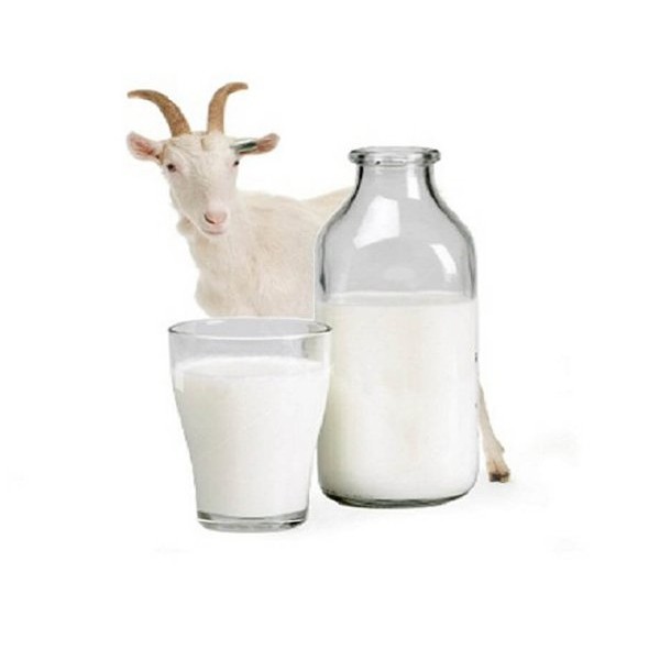 

Susu Kambing Etawa Murni 100% 1 liter